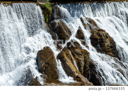 長篠堰堤の余水吐（愛知県新城市） 137666335