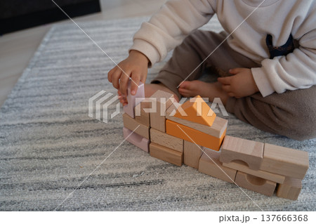 積み木で遊ぶ幼児 137666368