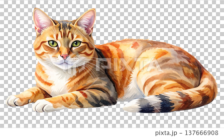 A tabby cat illustration (a cat sitting facing sideways) A tabby cat illustration (a cat sitting facing sideways) 137666908