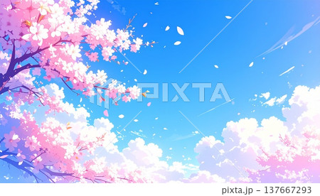 桜の花びらが舞う春の背景イラスト 青空と満開の桜 137667293