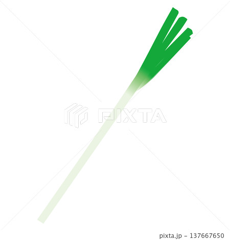 「ネギ」野菜・食材のシンプルなイラスト素材 「ネギ」野菜・食材のシンプルなイラスト素材 137667650