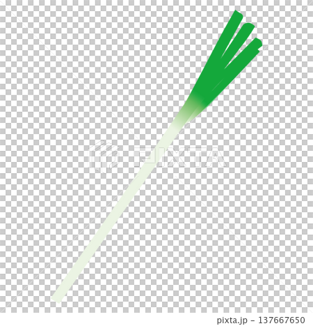 「ネギ」野菜・食材のシンプルなイラスト素材 「ネギ」野菜・食材のシンプルなイラスト素材 137667650