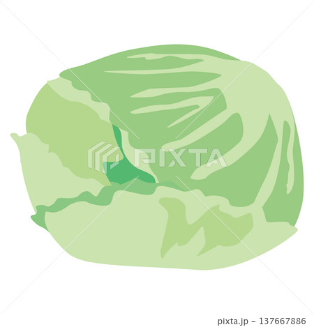 「レタス」野菜・食材のシンプルなイラスト素材 137667886