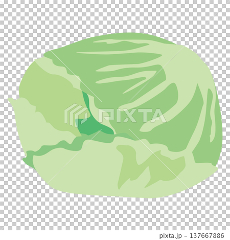 「レタス」野菜・食材のシンプルなイラスト素材 137667886