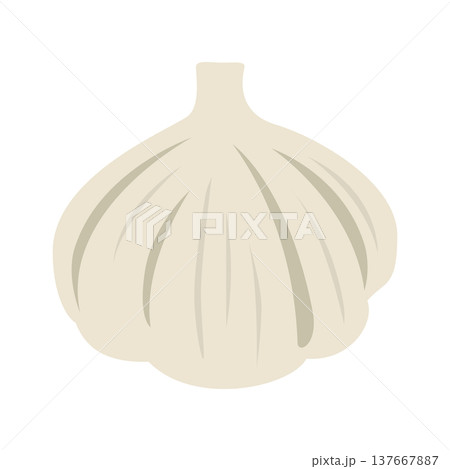 「にんにく」野菜・食材のシンプルなイラスト素材 137667887