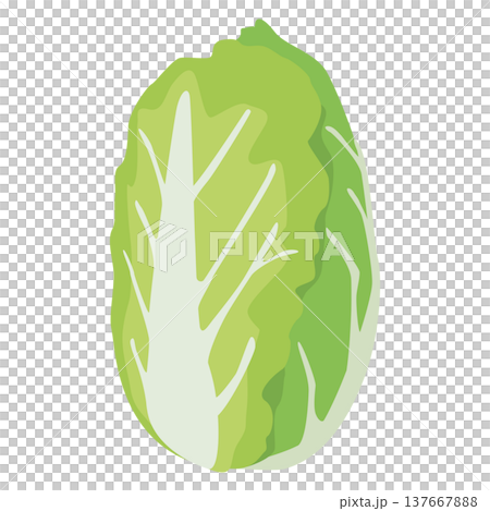 「白菜」野菜・食材のシンプルなイラスト素材 「白菜」野菜・食材のシンプルなイラスト素材 137667888