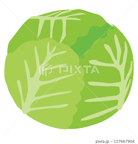 「キャベツ」野菜・食材のシンプルなイラスト素材 「キャベツ」野菜・食材のシンプルなイラスト素材 137667908