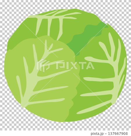 「キャベツ」野菜・食材のシンプルなイラスト素材 「キャベツ」野菜・食材のシンプルなイラスト素材 137667908