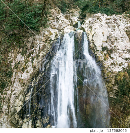 Beautiful waterfall in the mountains of Caucasus Beautiful waterfall in the mountains of Caucasus 137668066