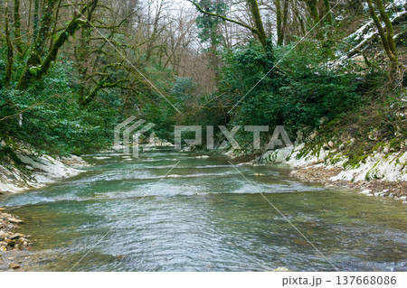 River in the forest. Winter landscape with a river in the forest. River in the forest. Winter landscape with a river in the forest. 137668086