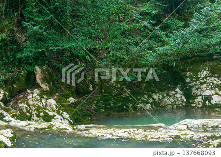 Mountain stream in the forest. Green nature background. Mountain river in forest. Mountain stream in the forest. Green nature background. Mountain river in forest. 137668093