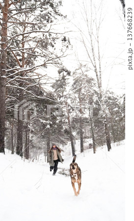 A young woman relaxes during a walk in a winter forest with her dog. A young woman relaxes during a walk in a winter forest with her dog. 137668239