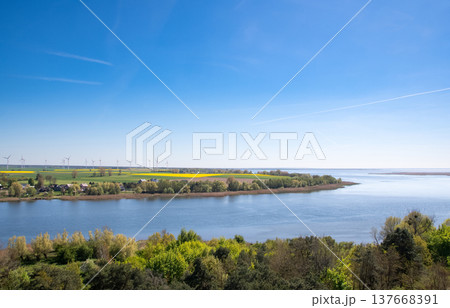 rapeseed field and wind generators 137668391