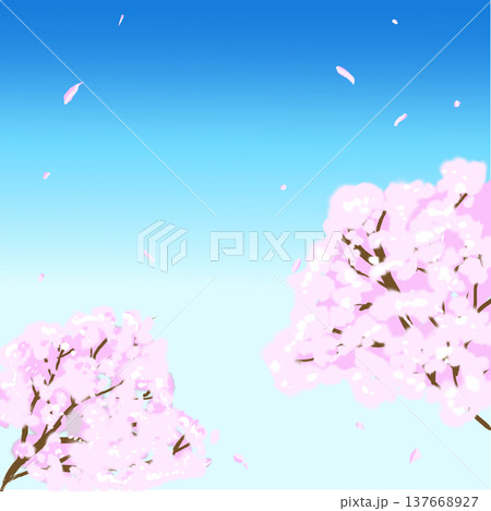 青空と舞い散る桜の春風景イラスト背景 137668927