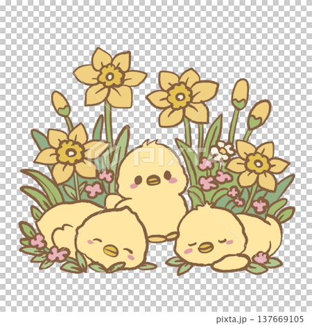 Cute baby chicks sleeping and sitting among yellow daffodils spring Easter illustration kawaii chick clipart for nursery decor stickers greeting cards and planners Cute baby chicks sleeping and sitting among yellow daffodils spring Easter illustration kawaii chick clipart for nursery decor stickers greeting cards and planners 137669105