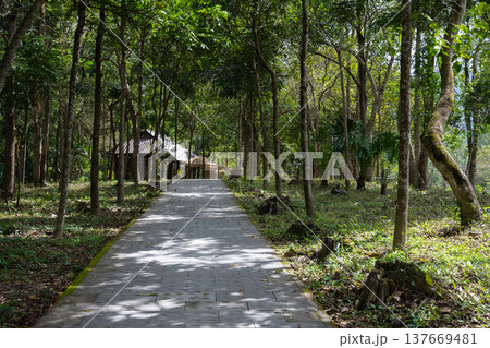 ミーソン遺跡の寺院跡, クアンナム省, ベトナム 137669481