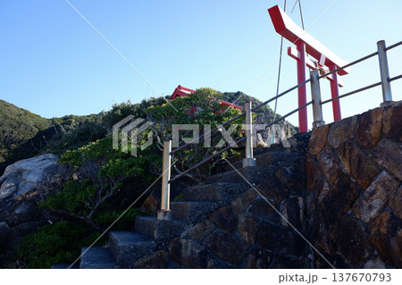 高知県土佐清水市 龍宮神社 高知県土佐清水市 龍宮神社 137670793