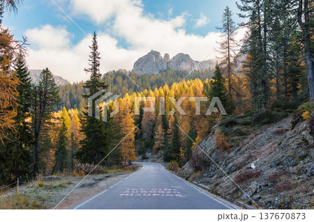 Autumn mountain road and golden larch forest in Dolomites, Italy Autumn mountain road and golden larch forest in Dolomites, Italy 137670873