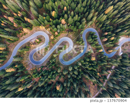 Winding asphalt snake road surrounded by autumn pine forest in Dolomites, Italy 137670904