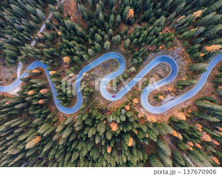 Winding asphalt snake road surrounded by autumn pine forest in Dolomites, Italy 137670906