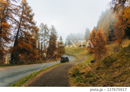 Foggy autumn mountain road with golden larch trees in Dolomites, Italy Foggy autumn mountain road with golden larch trees in Dolomites, Italy 137670917