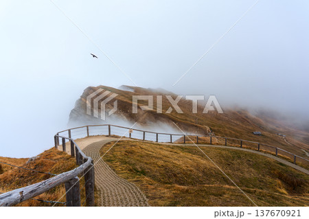 Foggy Seceda ridge trail with autumn grassland and soaring bird in Dolomites, Italy 137670921