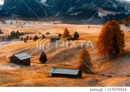 Alpine autumn Alpe di Siusi or Seiser Alm with wooden hut on golden grass hill and Dolomites mountain during morning in Italy Alpine autumn Alpe di Siusi or Seiser Alm with wooden hut on golden grass hill and Dolomites mountain during morning in Italy 137670929
