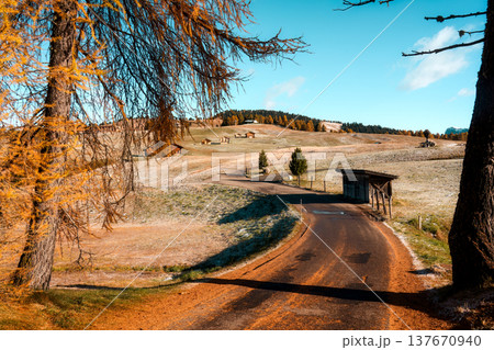 Autumn countryside road through alpine hill in Alpe di Siusi, Dolomites, Italy 137670940
