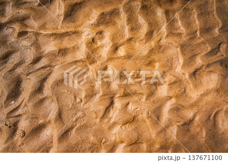 Golden beach sand texture with natural ripples pattern Golden beach sand texture with natural ripples pattern 137671100