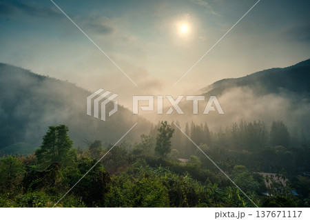 Sunrise over Khao Krajom mountain with foggy in tropical rainforest at Suan Phueng, Ratchaburi 137671117