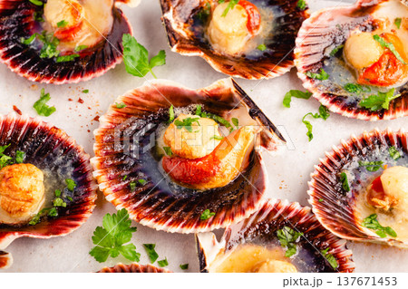 Cooked scallops with parsley 137671453