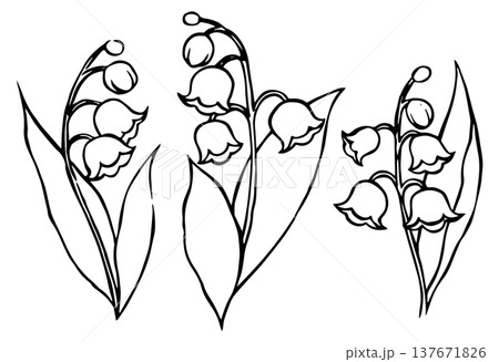 Set of lily of the valley flowers in vintage style. Vector doodle illustration. Set of lily of the valley flowers in vintage style. Vector doodle illustration. 137671826