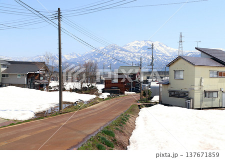 雪融け：冬晴れの住宅街と八海山（新潟県南魚沼市） 137671859