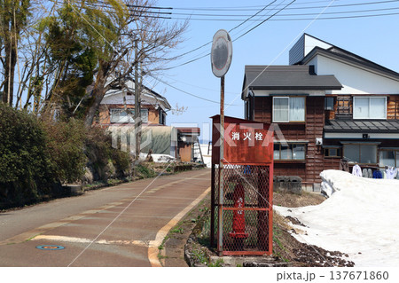 雪融け：冬晴れの住宅街と消火栓（新潟県南魚沼市） 137671860