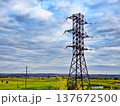 Electric transmission tower with high voltage power lines stretching across rural landscape under cloudy sky. Energy infrastructure and electricity distribution concept. 137672500