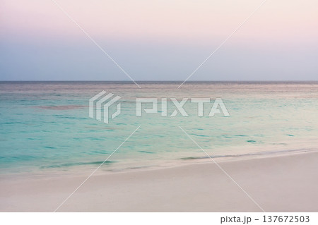 Serene tropical beach with soft pastel sunset colors and calm turquoise ocean. Minimal seascape background ideal for travel and relaxation concepts. 137672503