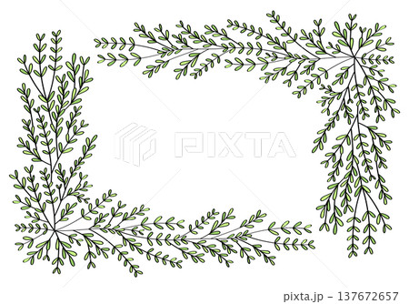 Hand drawn rectangular frame of branches and leaves from bushes and trees. Aesthetic border of evergreen plants. Ideal for decorating and framing flyers, greeting cards, covers, posters, invitations. 137672657