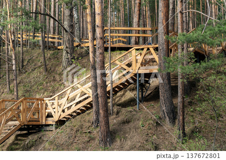 Wooden Stairway And Boardwalk Through Pine Forest Trail Surrounded By Trees And Nature Wooden Stairway And Boardwalk Through Pine Forest Trail Surrounded By Trees And Nature 137672801