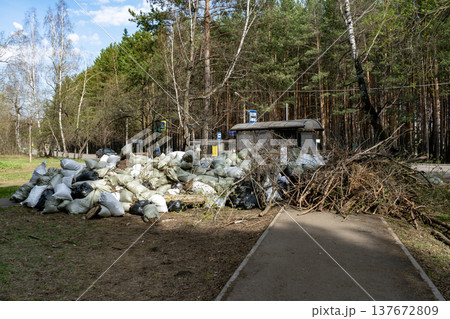 Illegal Dumping Of Garden Waste And Trash Bags Piled Beside Bus Stop In Forest Park Illegal Dumping Of Garden Waste And Trash Bags Piled Beside Bus Stop In Forest Park 137672809