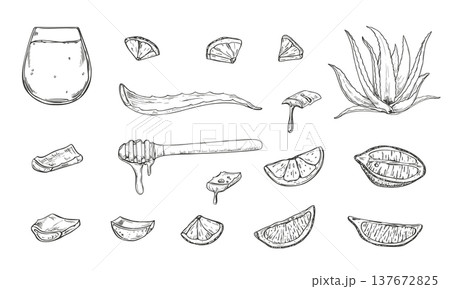 Natural wellness and kitchen ingredients monochrome vector set. Aloe vera leaves, lemon and lime slices, wooden honey dipper with honey, juice glass tumbler. For detox drinks, wellness beverages Natural wellness and kitchen ingredients monochrome vector set. Aloe vera leaves, lemon and lime slices, wooden honey dipper with honey, juice glass tumbler. For detox drinks, wellness beverages 137672825