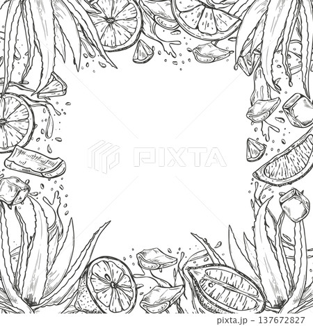 Lime and aloe vera, water splashes monochrome vector square border with copy space for text. Citrus fruit, aloe plant with juice drops frame for invitations, labels, drink product, cosmetic packaging Lime and aloe vera, water splashes monochrome vector square border with copy space for text. Citrus fruit, aloe plant with juice drops frame for invitations, labels, drink product, cosmetic packaging 137672827
