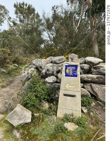 Camino de Santiago trail marker with yellow scallop shell symbol, directional arrow beside rural hiking path near Baiona, Spain. Pilgrimage tourism, hiking route promotion, travel destination 137672876