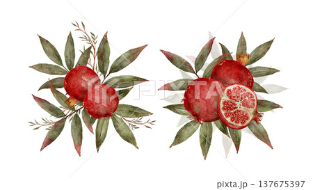Delicate Watercolor Artwork Showcasing Vibrant Pomegranates With Leafy Stems In Romantic Botanical Style 137675397