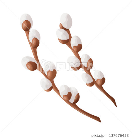 Willow branches with fluffy catkins. Flat vector illustration. Spring decorative plant object for Easter greeting cards, church designs, floral packaging, seasonal branding, print materials. Willow branches with fluffy catkins. Flat vector illustration. Spring decorative plant object for Easter greeting cards, church designs, floral packaging, seasonal branding, print materials. 137676438