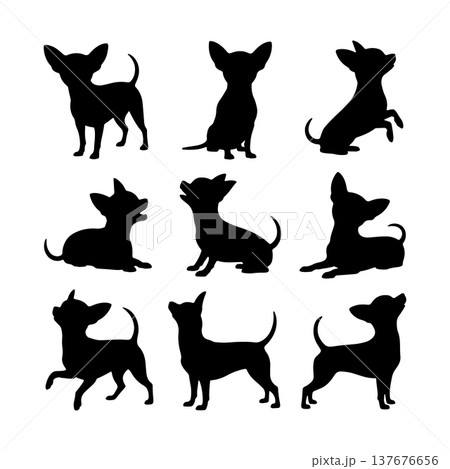 Various silhouettes of chihuahuas in playful and calm poses against a white background 137676656