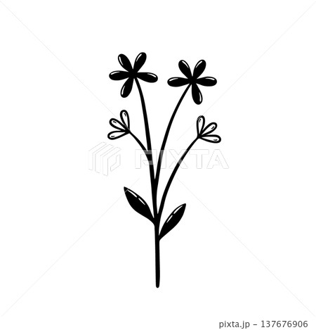 Branch of a plant with flowers and leaves. Botanical floral element. Hand drawn vector illustration isolated on white background. Branch of a plant with flowers and leaves. Botanical floral element. Hand drawn vector illustration isolated on white background. 137676906