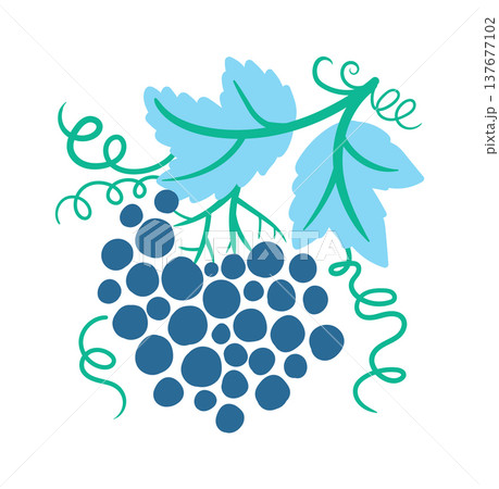 Grape Cluster Hanging Botanical 137677102