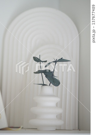 Decorative vase with plant on a shelf in a home setting Decorative vase with plant on a shelf in a home setting 137677489