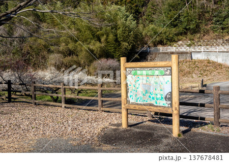 鳴沢湖の野鳥公園　群馬県高崎市 137678481