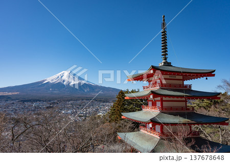 【山梨】新倉山浅間公園から見た富士山 【山梨】新倉山浅間公園から見た富士山 137678648